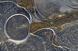 nature abstract pond ice
